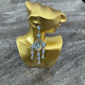 Elegant Dangle Earrings Set